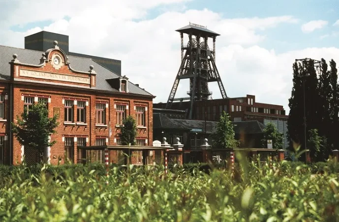 Webdesign in Beringen – voorbeelden en aanpak