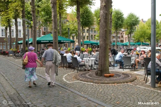 Website laten maken in Maaseik – lokaal webdesign